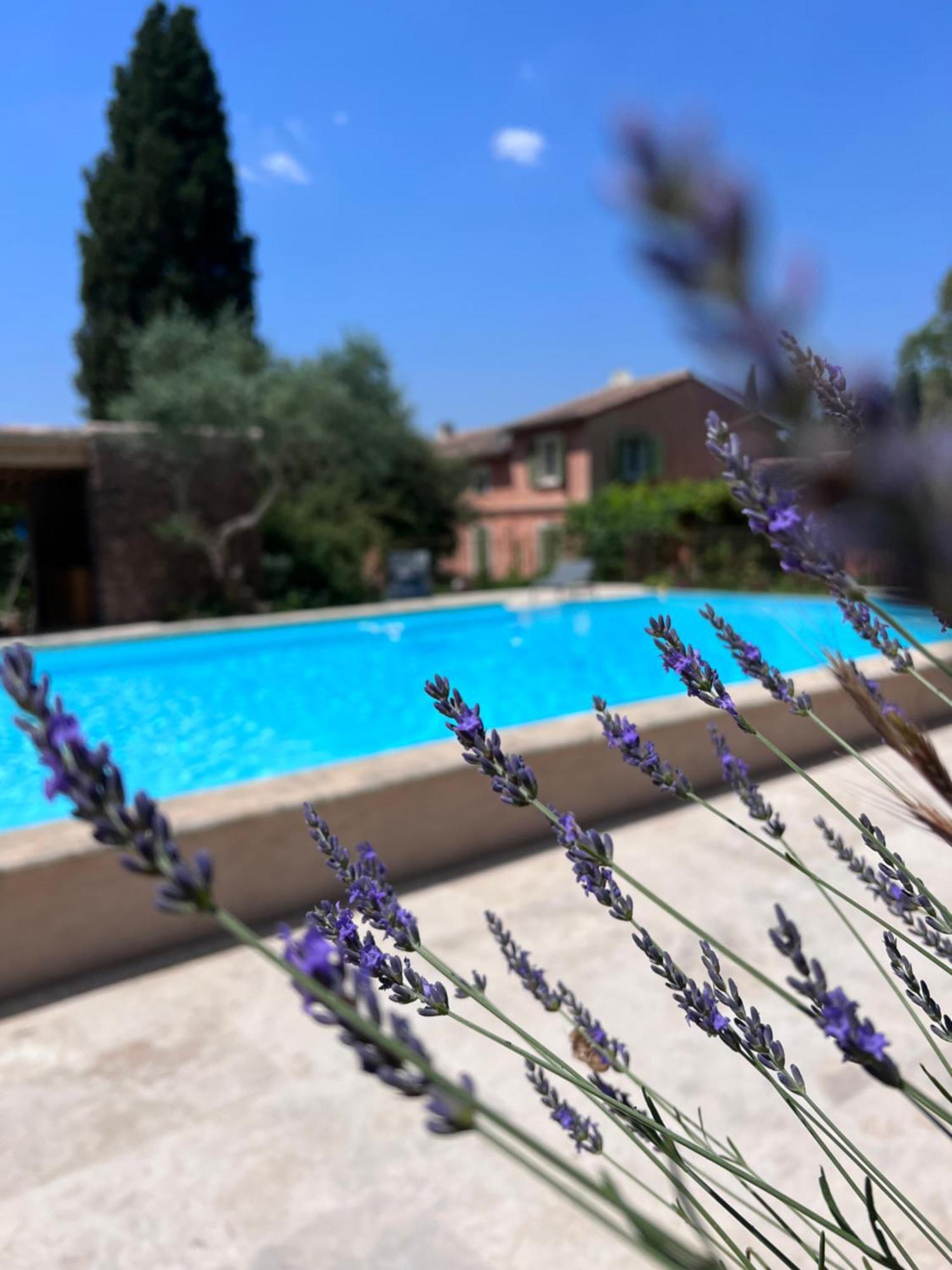 Les Hauts De Diane, Cuers Var Luaran gambar